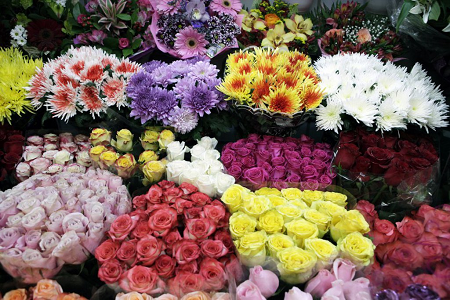 В России обновили ГОСТы на срезанные цветы