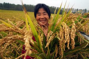 Россия наращивает экспортные поставки сельхозпродукции на Филиппины